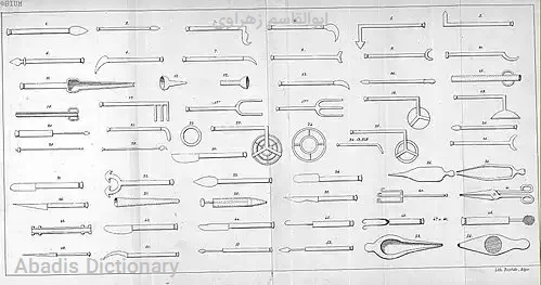 ابوالقاسم زهراوی